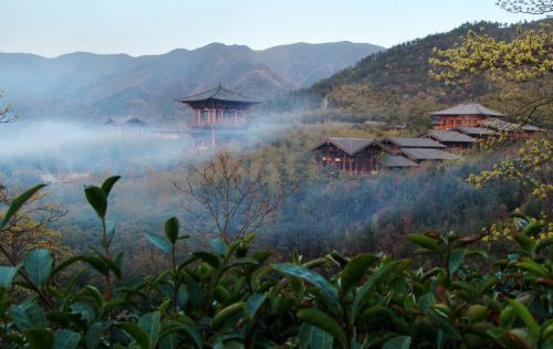 浙江茶文化度假區(qū)的旅游策劃