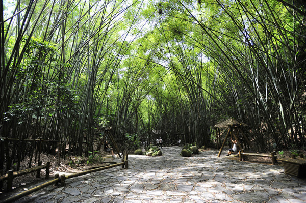 山地旅游規(guī)劃院：深圳東部華僑城竹樂谷因地制宜進(jìn)行旅游規(guī)劃